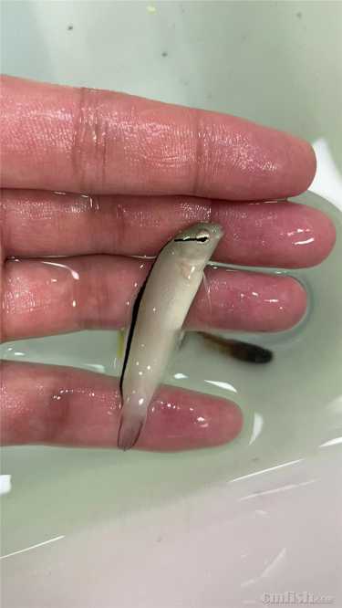 a681d8020bd50e60e5d2058c8c710fc.jpg