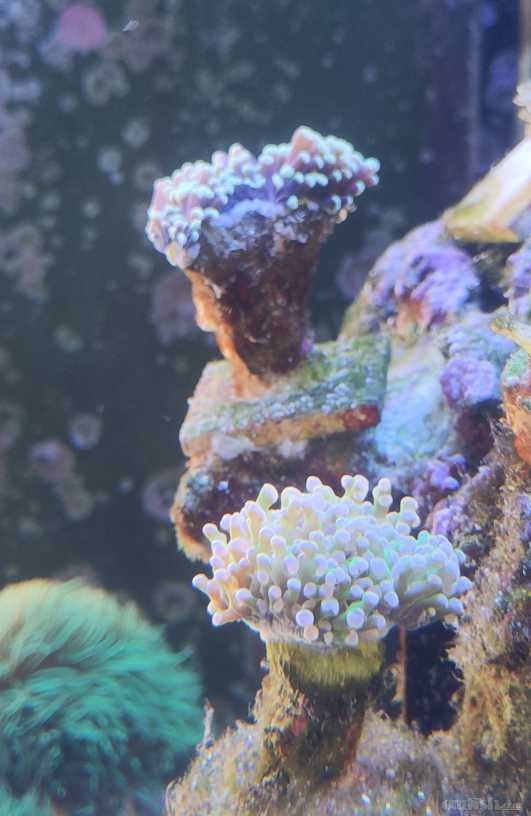 IMG_20220805_103936.jpg