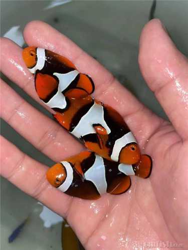 ΢��ͼƬ_20220809152431.jpg