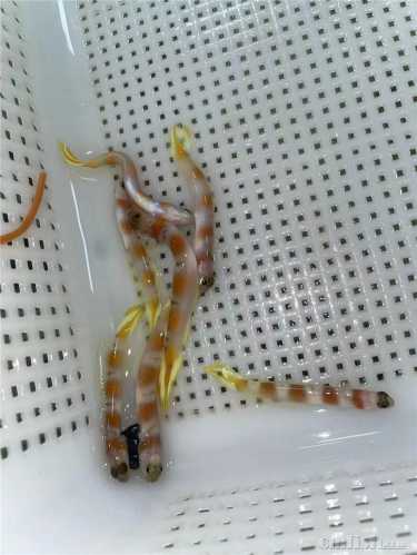 ΢��ͼƬ_20220809152527.jpg