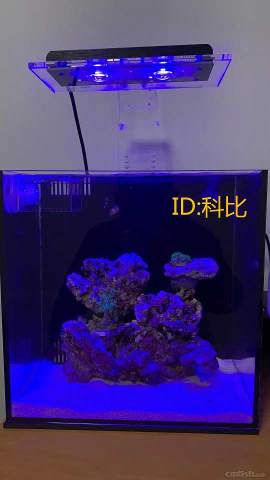 9ef16e0c79ffb30bf62713353fc8980.jpg