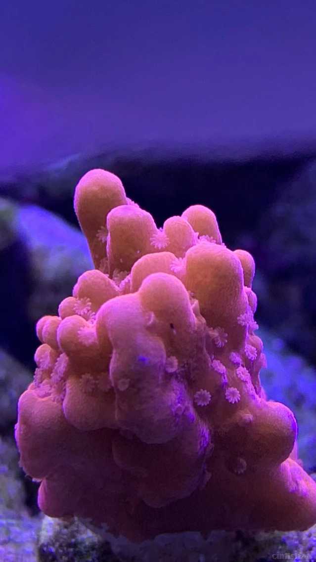 ΢��ͼƬ_202209171610281.jpg