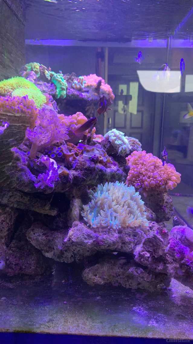 ΢��ͼƬ_202209171603381.jpg