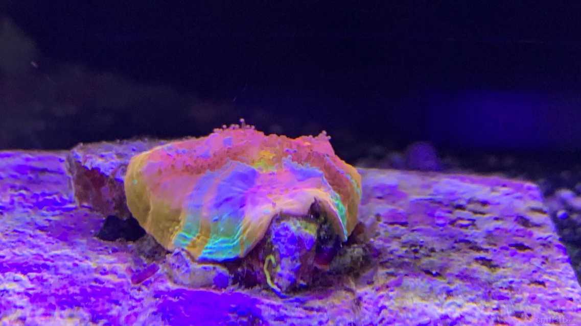 ΢��ͼƬ_202209171610282.jpg