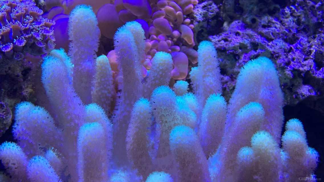 ΢��ͼƬ_202209171610286.jpg