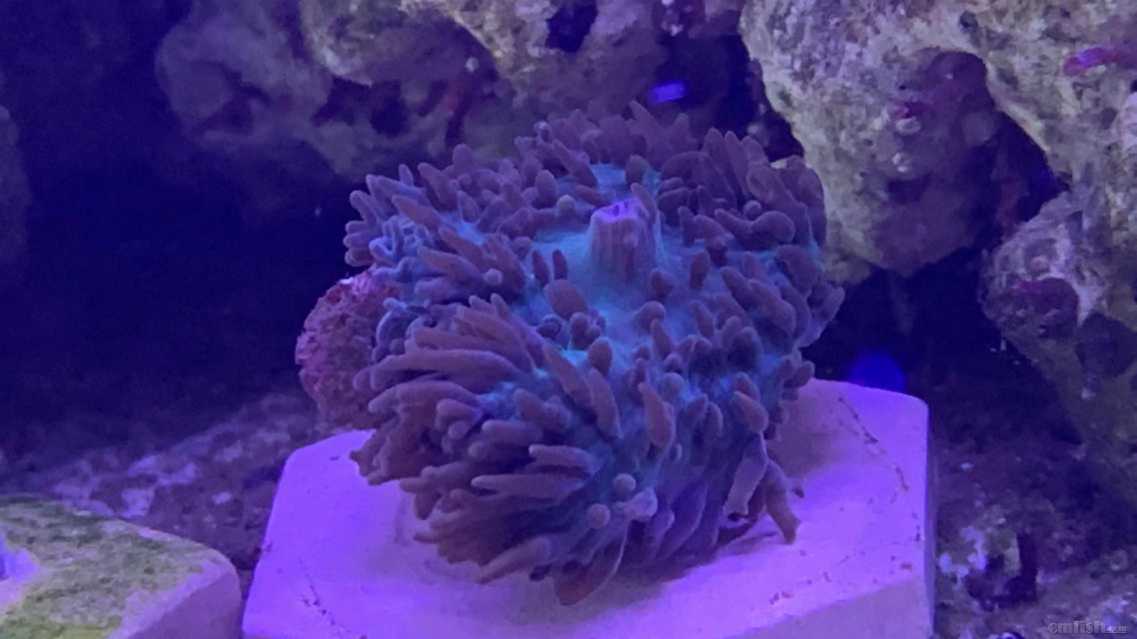 ΢��ͼƬ_202209171610289.jpg