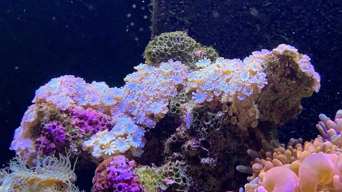 ΢��ͼƬ_2022091716102814.jpg