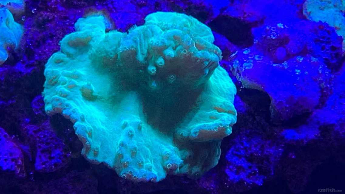 ΢��ͼƬ_2022091716102822.jpg