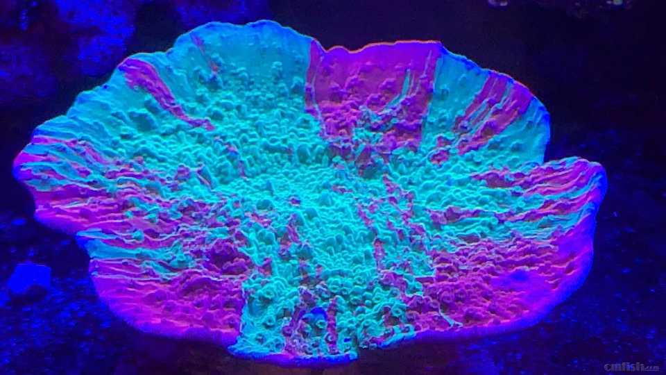 ΢��ͼƬ_2022091716102820.jpg