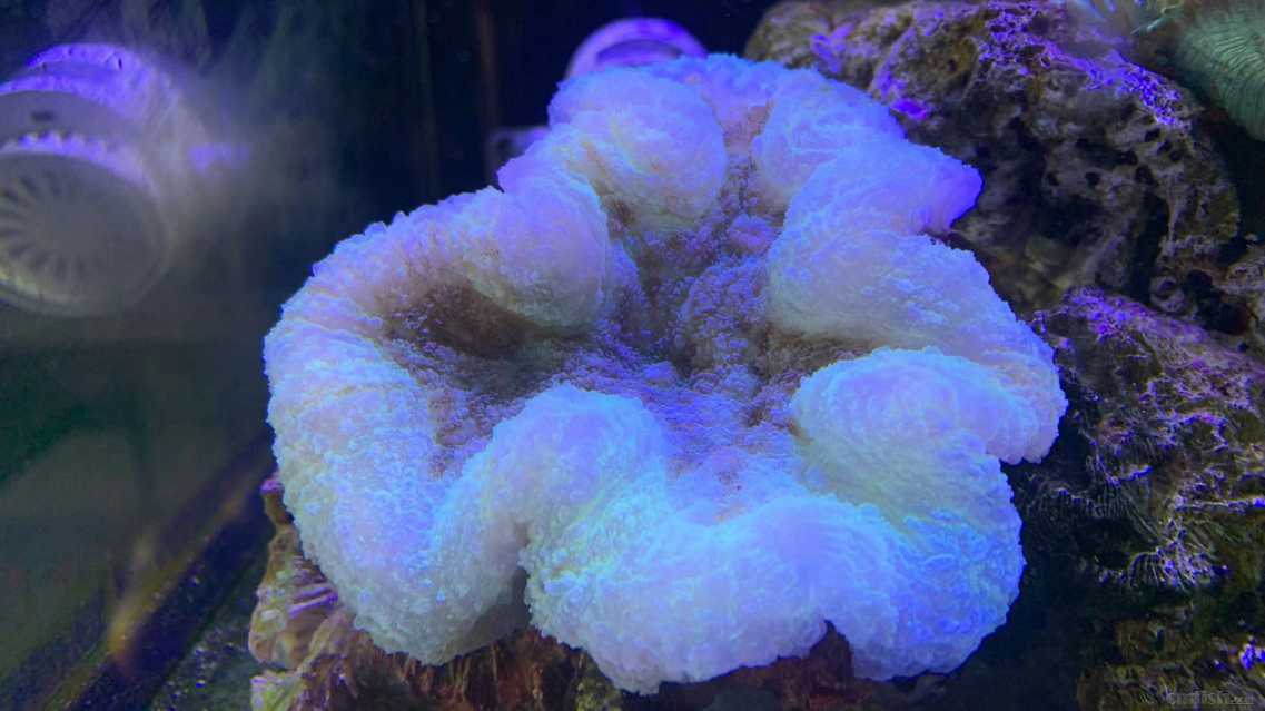 ΢��ͼƬ_2022091716102823.jpg