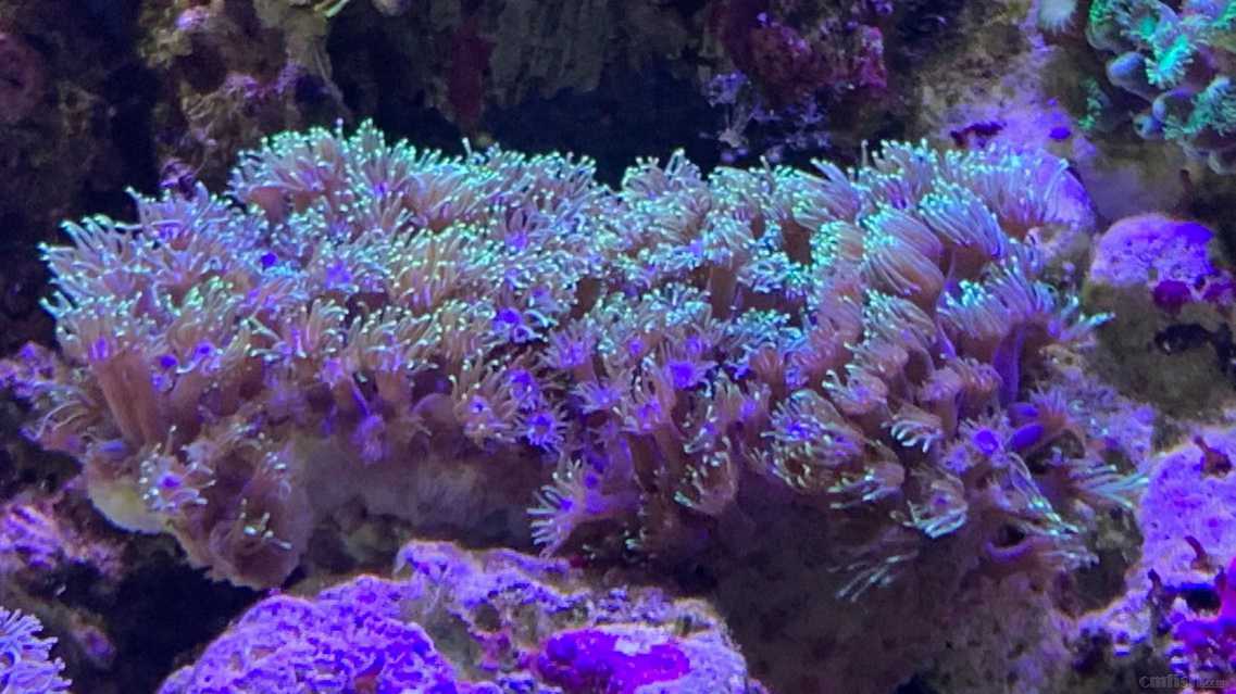 ΢��ͼƬ_2022091716102824.jpg