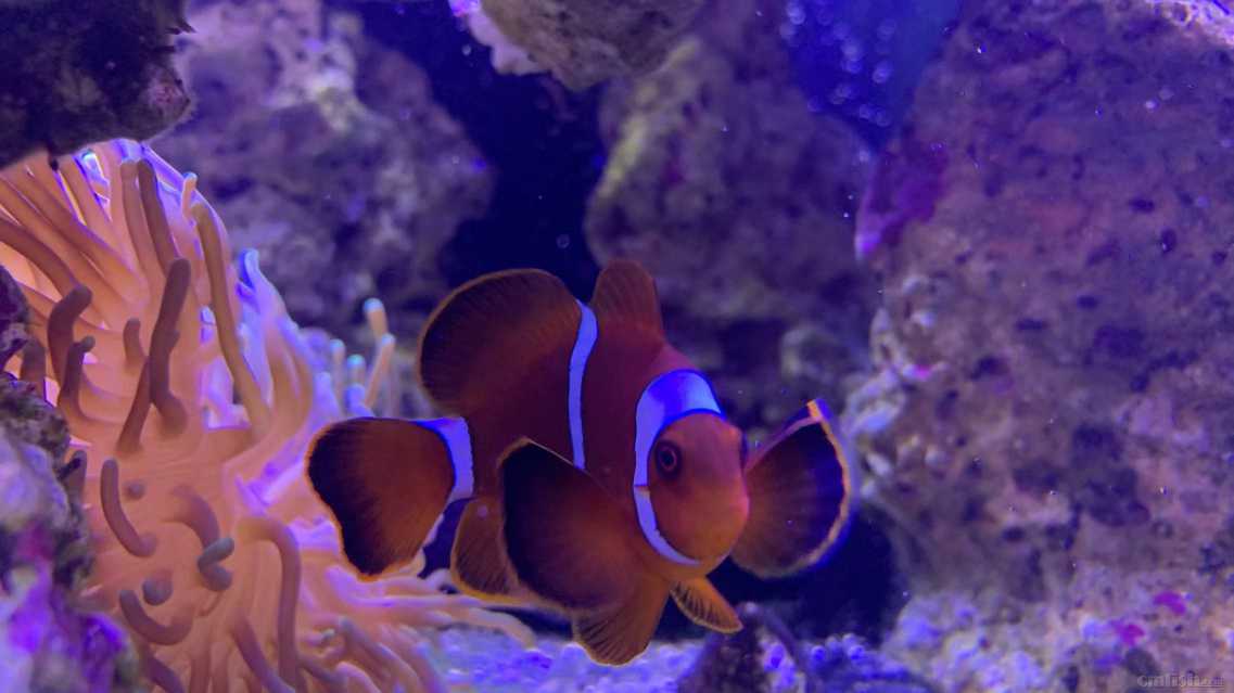 ΢��ͼƬ_2022091716102827.jpg