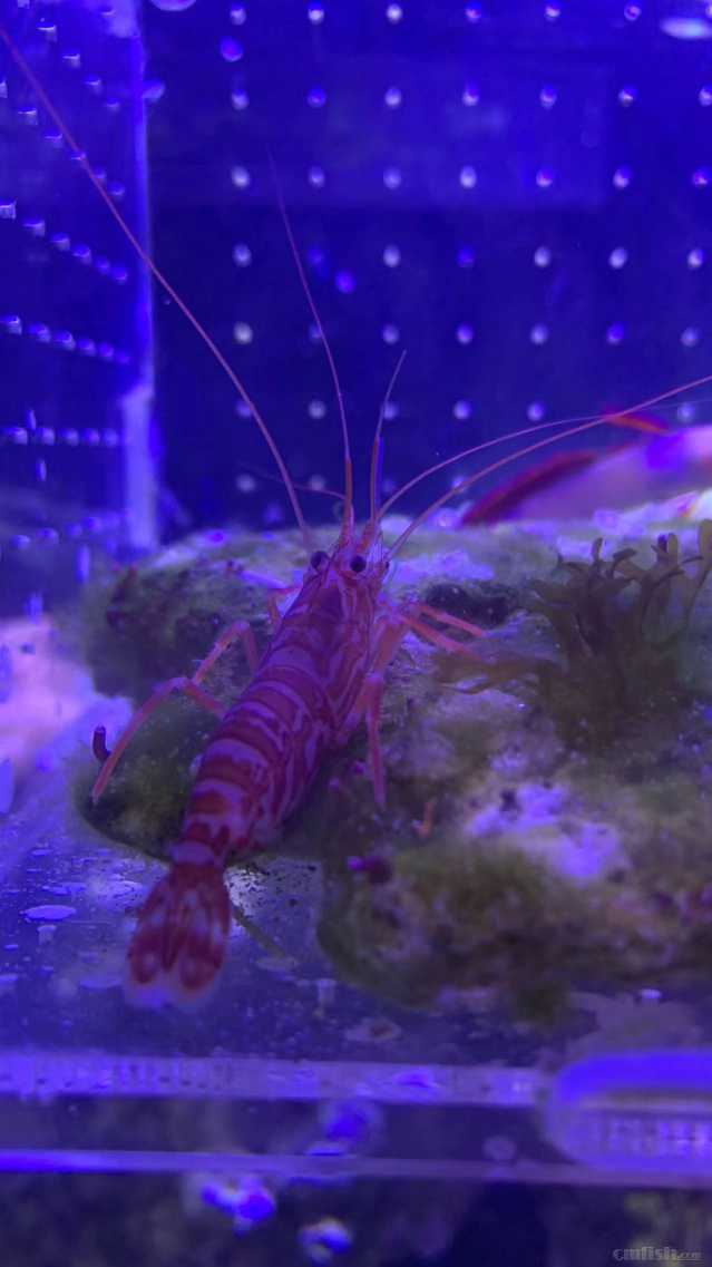 ΢��ͼƬ_2022091716102829.jpg