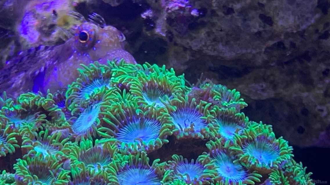 ΢��ͼƬ_2022091716102833.jpg