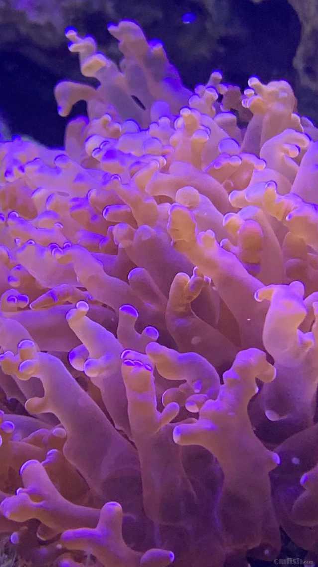 ΢��ͼƬ_2022091716102832.jpg