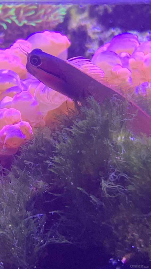 ΢��ͼƬ_2022091716102830.jpg