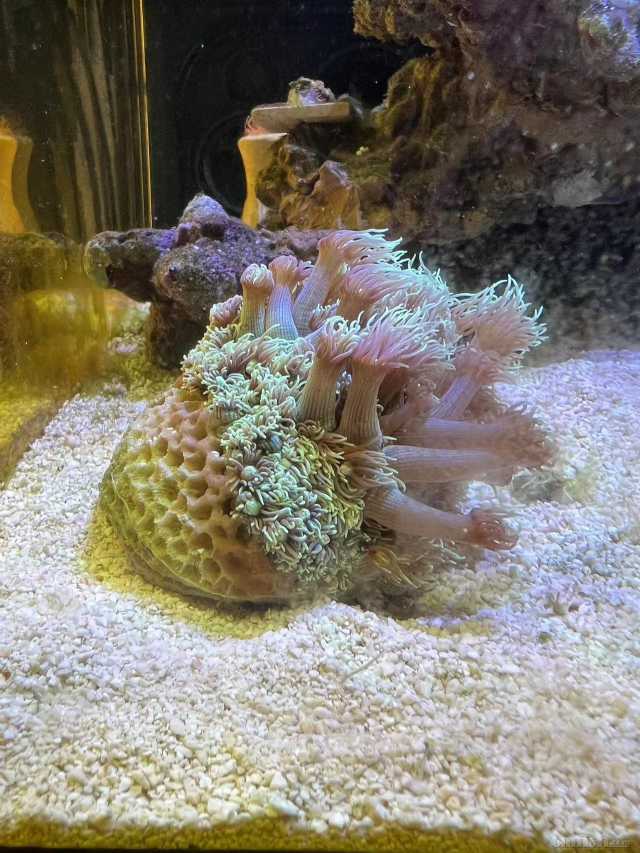 ΢��ͼƬ_20221004211859.jpg