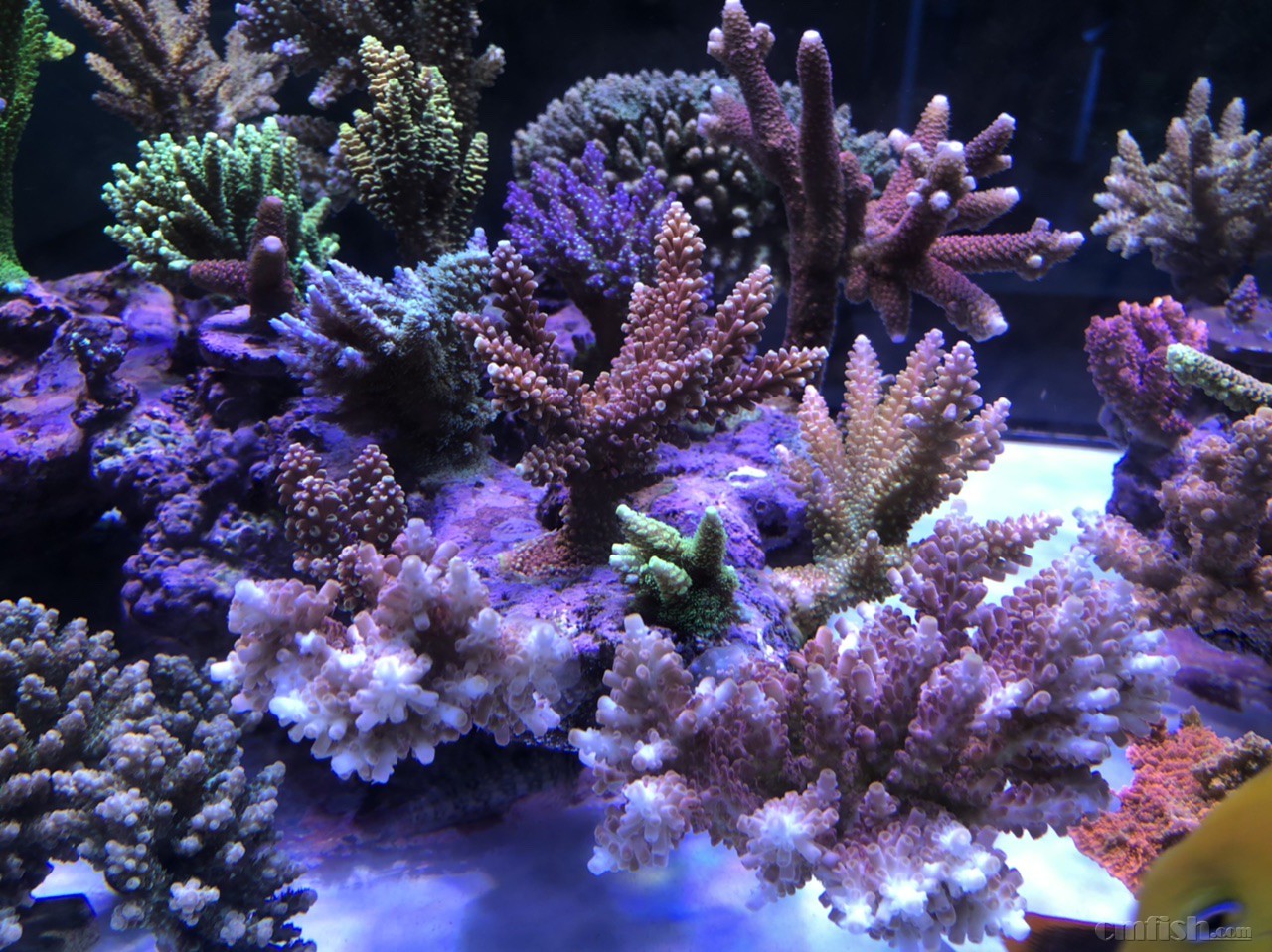 5D640A94-0798-41B3-A0CA-85FB2167C111.jpeg