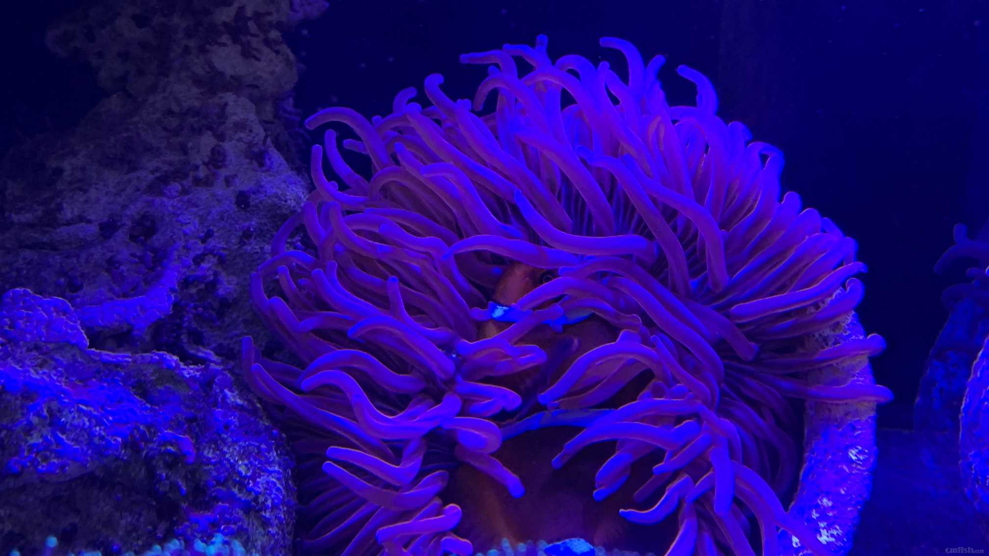 ΢��ͼƬ_202210171032199.jpg