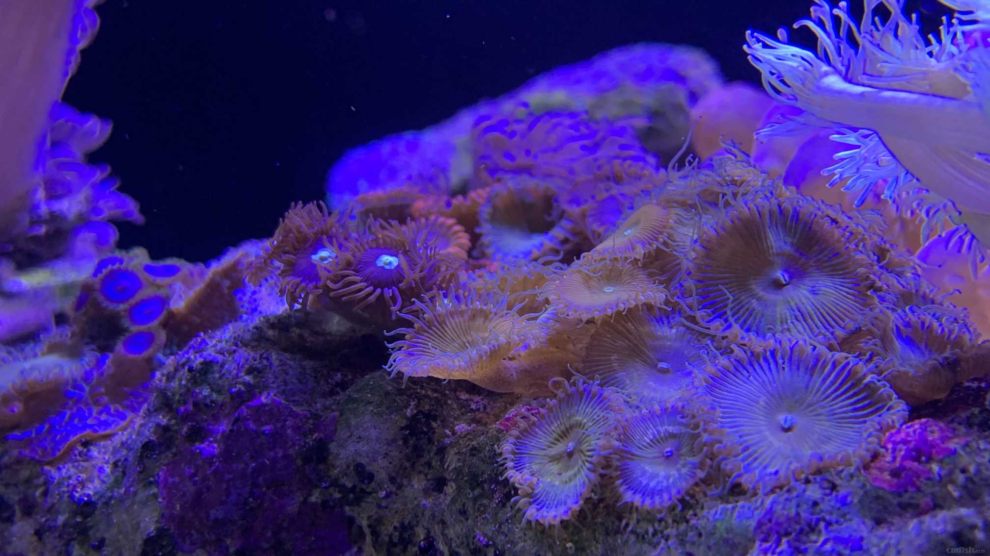 ΢��ͼƬ_2022101710321915.jpg