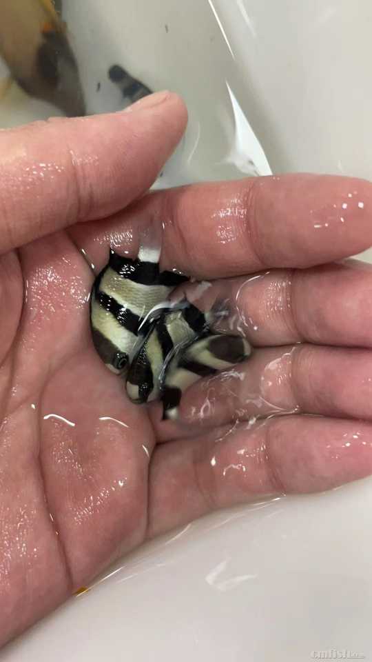 ΢��ͼƬ_20221017112422.jpg