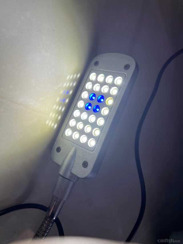 Сҹ��2.jpg