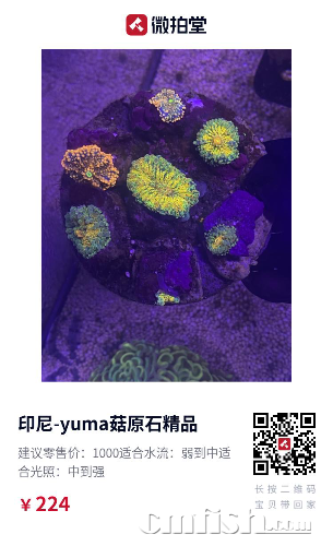 C8878AF7-6D46-4CE9-996A-5750661F43E3.png