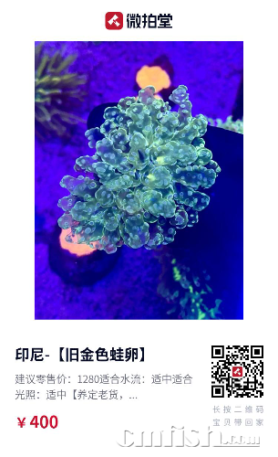 D515333B-A6AC-43E3-8893-A9BADF49149C.png