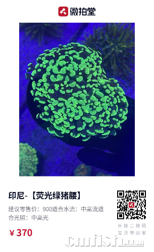 EA568D43-E74E-4DC7-87DE-586C7F646BC8.png