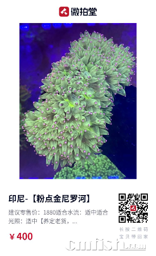 4BA18FA5-D87F-4626-A4D6-9884D9E88C40.png