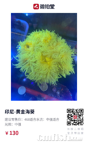 C379A6FC-25A7-4B99-881E-4F85B0EB7197.png