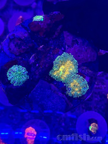 D280C068-2C7B-4908-8AD2-340F9E1E75A7.jpeg