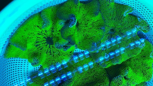 01A076F7-0C0F-41AE-B6C7-AE3956A68B17.jpeg