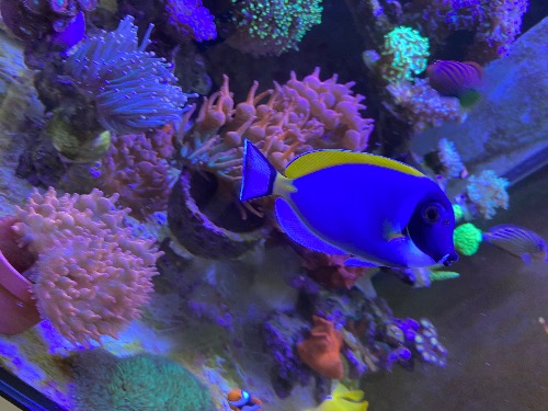 00B02427-574A-42B9-BBB3-3759BBD6F02E.jpeg