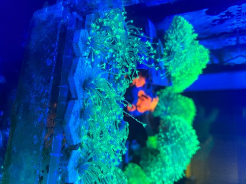 52C329A8-F845-4408-AABB-8ADB36A0DDDC.jpeg