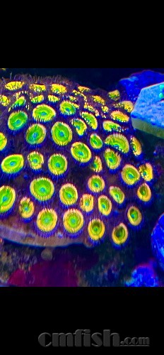 486E5205-180C-4304-95C3-E34D321A94C7.jpeg