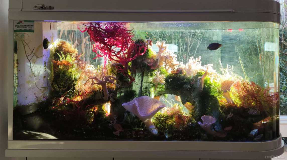 142312185 ����.jpg