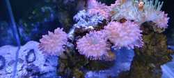 wx_camera_1668764815468.jpg