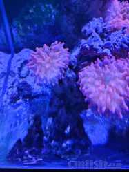 IMG_20221118_163017.jpg
