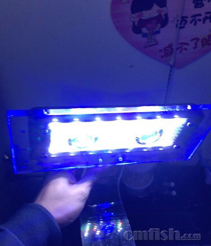 8C431DB9-6602-4544-A2F2-A873B31CD049.jpeg