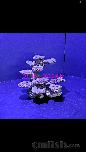 A0A1E6A6-1288-4C39-A8AB-293DF5BBBF73.png