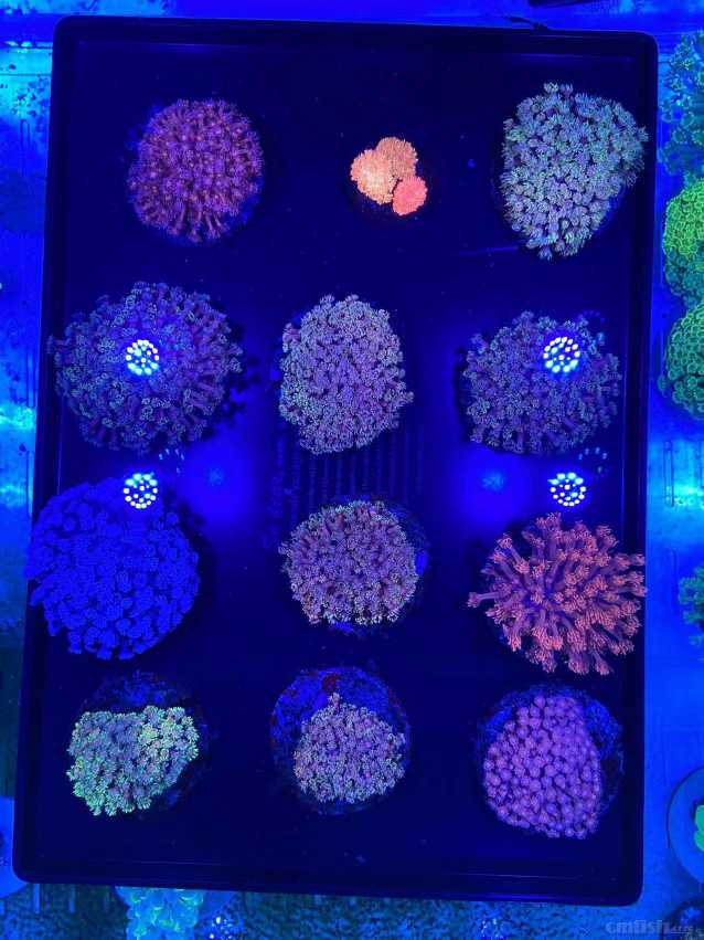 ΢��ͼƬ_20221219141705.jpg