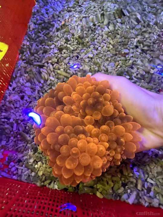 微信图片_20221226103728.jpg