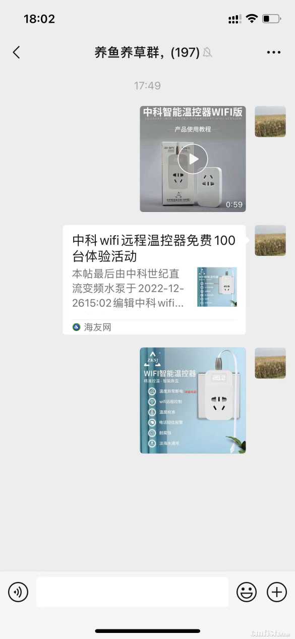 麦子养鱼群4.jpg