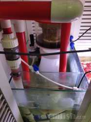 IMG_20230102_214422.jpg