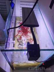 IMG_20230102_214325.jpg