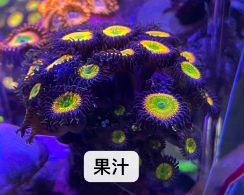 CF128C19-9F6A-46F1-AECB-6D9D77C22E4D.jpeg