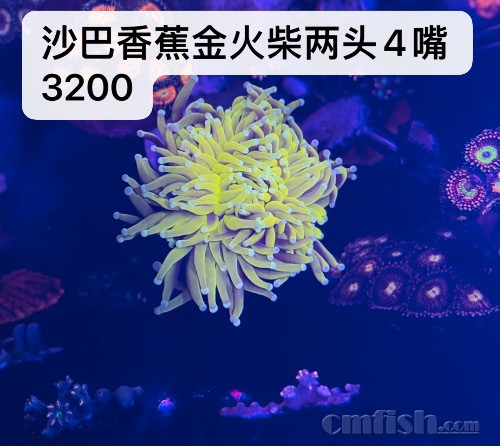 239F70E5-9455-44AD-9342-A1B96E0C2989.jpeg