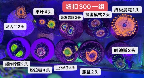 39EB15AD-A109-4D72-BFF0-2BA8860CE5B6.jpeg