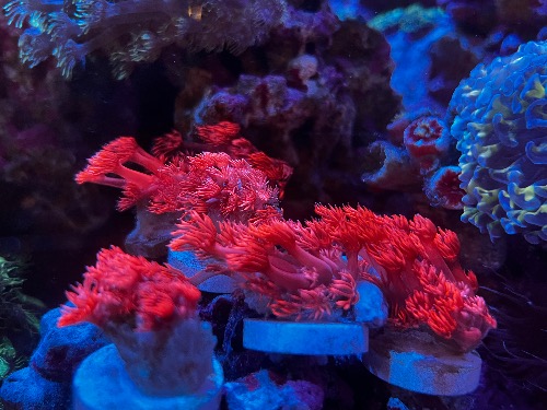 1D176331-4E00-4793-BE70-019B5919B15D.jpeg